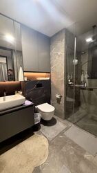 Irwell Hill Residences (D9), Apartment #566561891